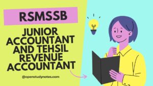 RSMSSB Junior Accountant and Tehsil Revenue Accountant Solved Papers